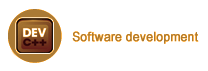 Software development